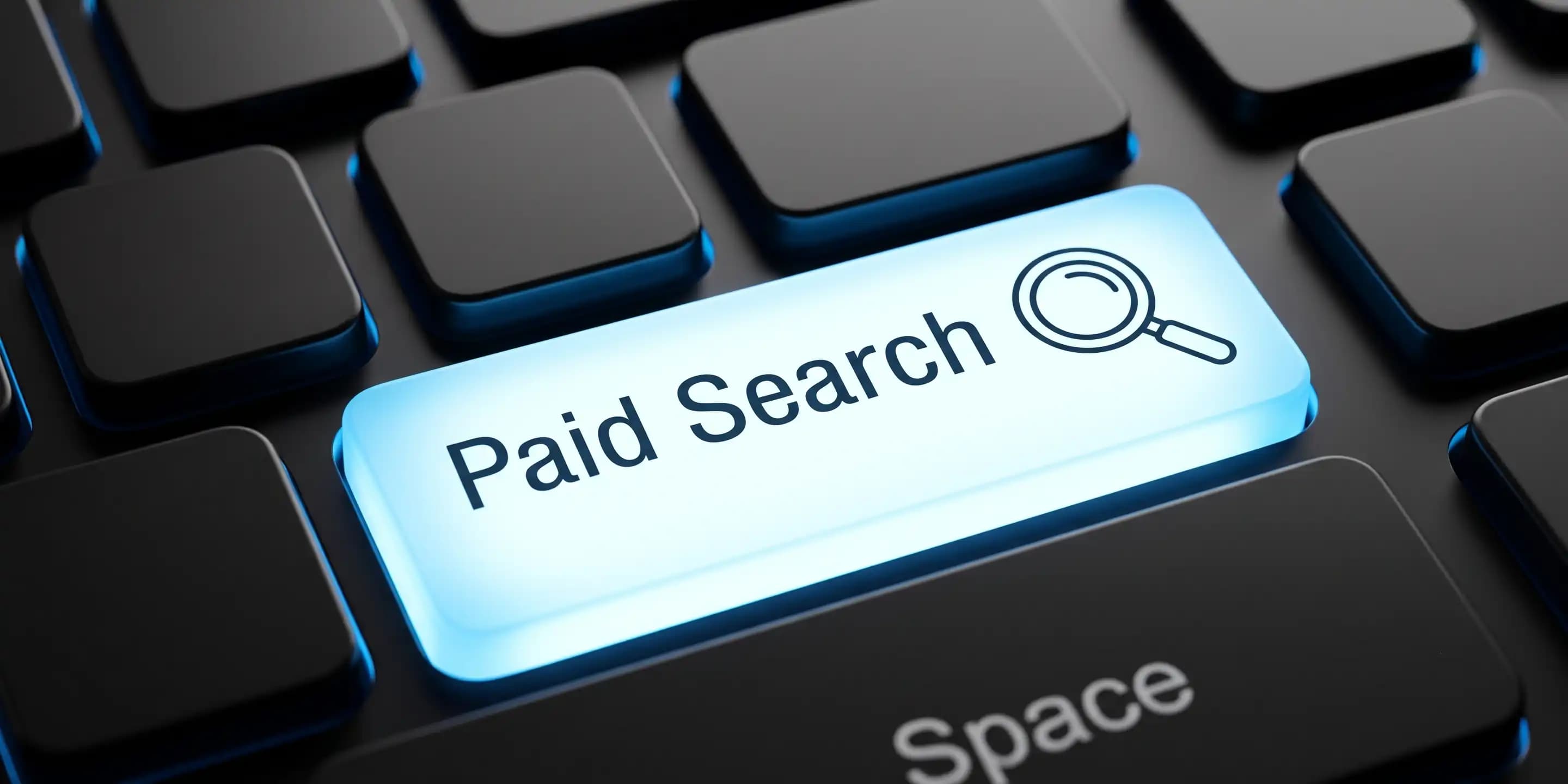 Paid Search 